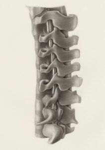 Photo by Europeana on Unsplash